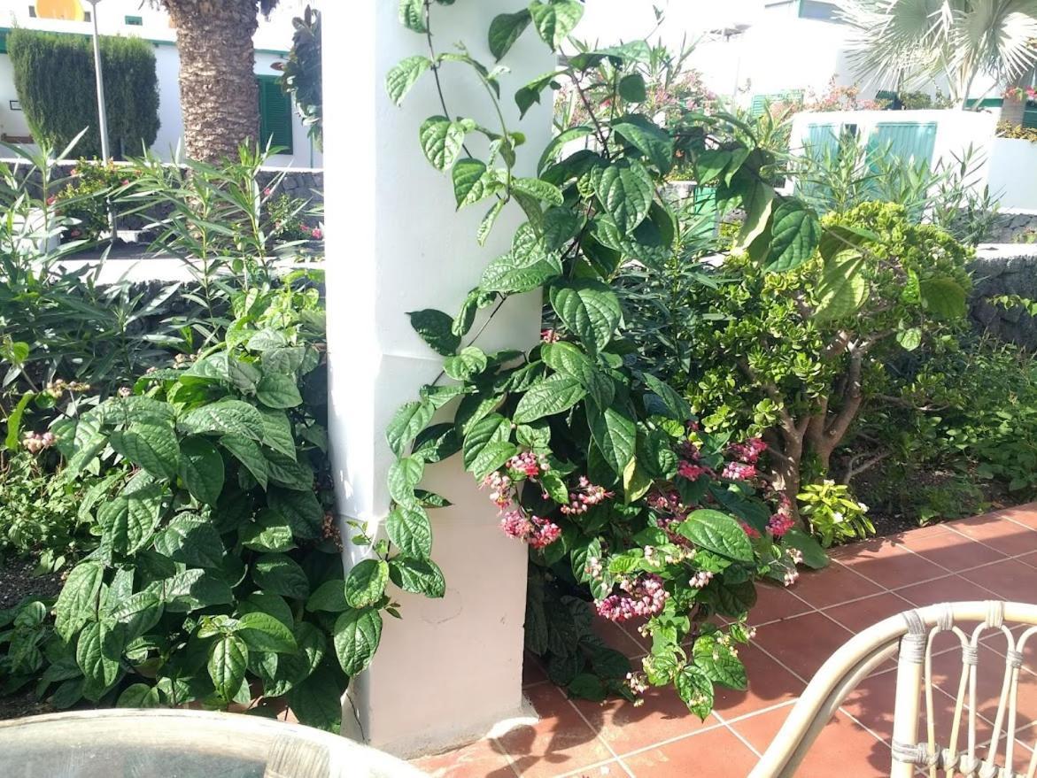 Villa Casa Maracuya Costa Teguise Esterno foto