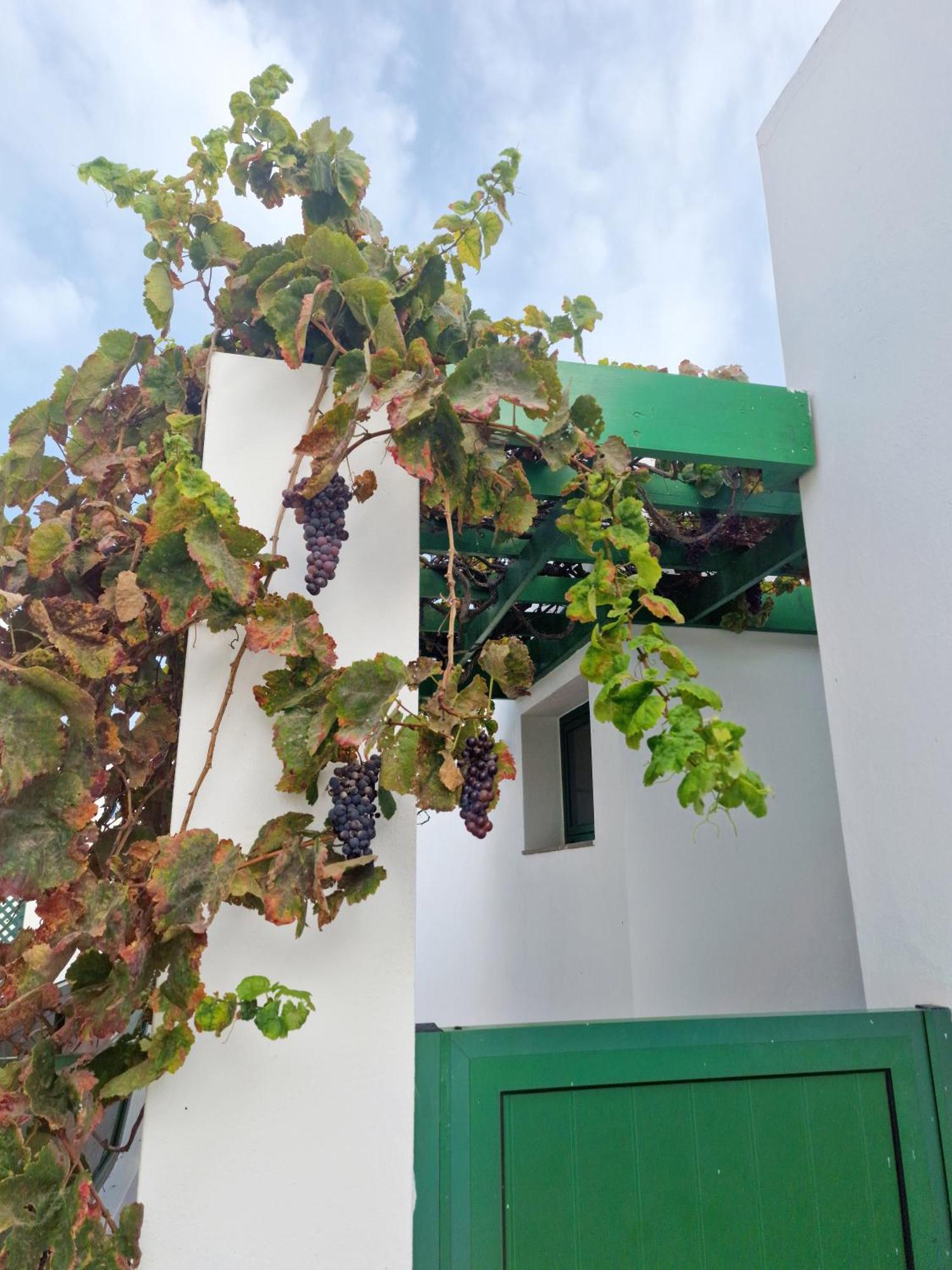 Villa Casa Maracuya Costa Teguise Esterno foto